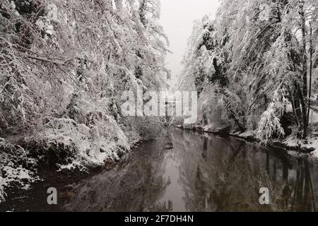 Schneebedeckte Bäume entlang des Flusses in der Winterlandschaft Stockfoto