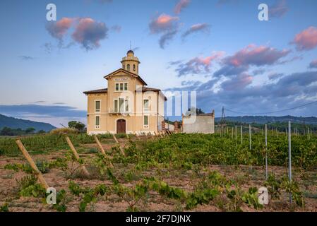 Torre Lluvià de Manresa, umgeben von Weinbergen der DO Pla de Bages, bei einem Sommeraufgang (Provinz Barcelona, Katalonien, Spanien) Stockfoto