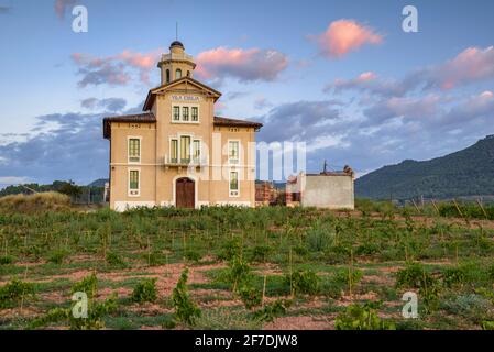 Torre Lluvià de Manresa, umgeben von Weinbergen der DO Pla de Bages, bei einem Sommeraufgang (Provinz Barcelona, Katalonien, Spanien) Stockfoto