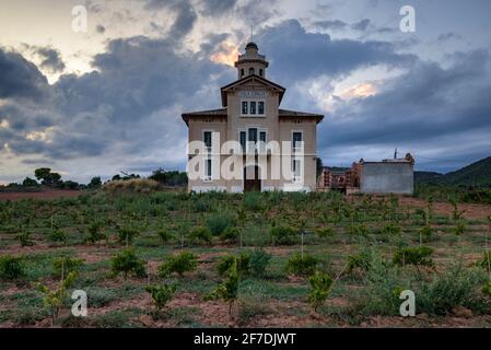 Torre Lluvià de Manresa, umgeben von Weinbergen des DO Pla de Bages, bei einem Sommeruntergang (Provinz Barcelona, Katalonien, Spanien) Stockfoto
