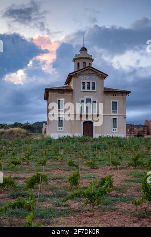 Torre Lluvià de Manresa, umgeben von Weinbergen des DO Pla de Bages, bei einem Sommeruntergang (Provinz Barcelona, Katalonien, Spanien) Stockfoto