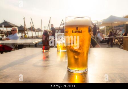 Ein Pint Bier auf einem Tisch, das in einem Strandrestaurant in Spanien serviert wird. Stockfoto