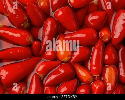 Eingelegte rote Paprika in einer Marinade als Hintergrund. Marinierte Paprika-Schoten aus nächster Nähe. Fermentierte Bio-Gemüsesnacks. Stockfoto