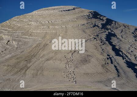 Trekking in Ordesa und Monte Perdido Nationalpark zwischen Góriz Hütte und Brèche de Roland. El Descargador Peak (Huesca, Spanien, Pyrenäen) Stockfoto