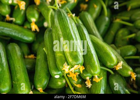 Frisches Gemüse für den Verkauf auf dem türkischen Markt in Antalya, Türkei Stockfoto