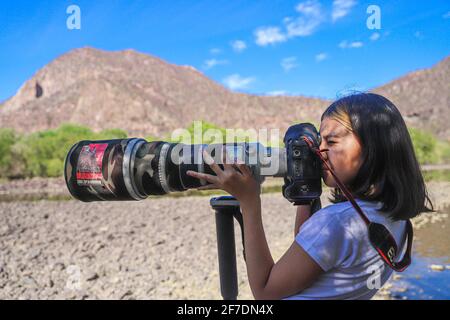 Ein Mädchen namens Camila Gutierrez Diaz fotografiert Landschaft, Natur und Tierwelt mit einer Canon 1Dx Mark II Kamera und einem 500 mm Canon f4 Objektiv oder Teleobjektiv auf dem Fluss Yaqui, der durch El Novillo, Sonora, Mexiko, führt. Tarnung (Foto von Luis Gutierrez / Norte Photo) Una Niña de nombre Camila Gutierrez Diaz, toma una fotografia de paisaje, naturaleza y vida salvaje con una camara Canon 1Dx Mark II y un lente o Telefoto 500 mm Canon f4 en el rio Yaqui a su paso por El Novillo, Sonora, Mexiko.. Camuflaje (Foto von Luis Gutierrez / Norte Photo) Stockfoto