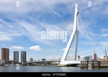 Blick auf die weiße Erasmus-Brücke, die auch De Zwaan genannt wird, über die Nieuwe Maas in Rotterdam unter einem blauen Himmel mit weißen Wolken. Stockfoto