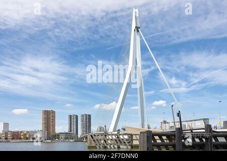 Blick auf die weiße Erasmus-Brücke, die auch De Zwaan genannt wird, über die Nieuwe Maas in Rotterdam unter einem blauen Himmel mit weißen Wolken. Stockfoto