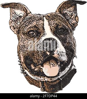 American Staffordshire Terrier farbigen Vektor Illustration Stock Vektor