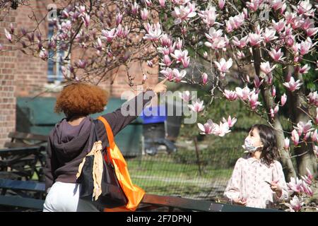 New York, USA. April 2021. Cherry Blossom, EINE neue Attraktion im Central Park inmitten von COVID-19. Als wir in die Frühlingssaison eintraten, war Cherry Blossom eine neue Attraktion für New Yorker und Touristen, die vor einem am Eingang zum Zoo des Central Park vorbei kamen, Fotos und Selfies machen, während die Covid-19-Impfung von Menschen ab 16 Jahren heute in der Stadt beginnt, um ihnen mehr Hoffnung und Immunität gegen das Virus zu geben. Quelle: Niyi Fote/TheNEWS2/ZUMA Wire/Alamy Live News Stockfoto