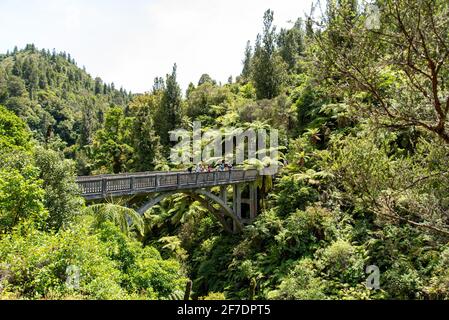 Von Brich nach Nowhere in der Nähe des Flusses Whanganui, Nordinsel Neuseelands Stockfoto