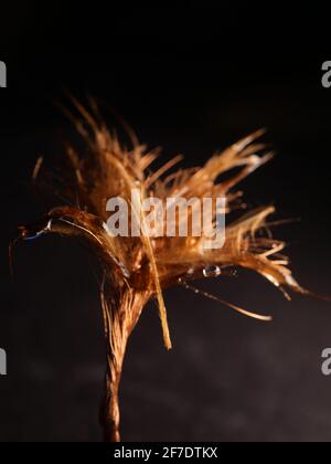 Abstrakte Makrofotografie Tröpfchen, Glas und Metall Stockfoto