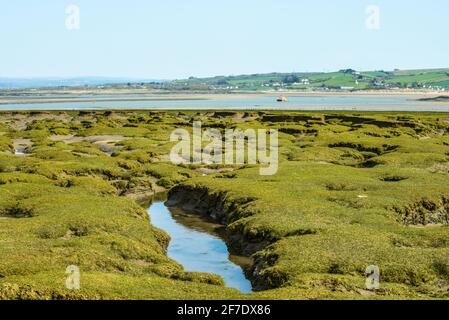 Northam Burrows Schlammflattern in Devon machen ein ungewöhnliches Muster Bei Ebbe Stockfoto