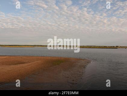 Blick auf die Bucht bei Ebbe in Duxbury, Massachusetts. Stockfoto