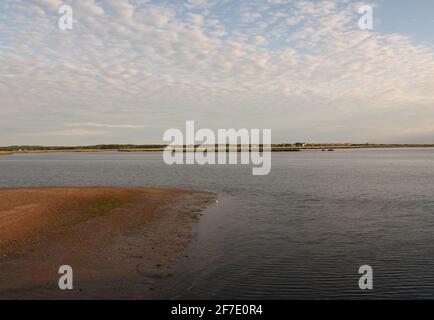 Verlassene Duxbury Bay Beach bei Ebbe im Sommer. Stockfoto