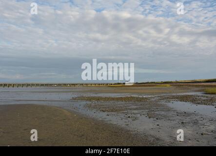 Einsamer Strand bei Ebbe am Duxbury Bay Beach. Stockfoto