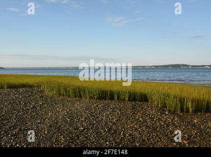 Im Sommer bietet der Duxbury Bay Beach einen malerischen Blick auf die Bucht. Stockfoto