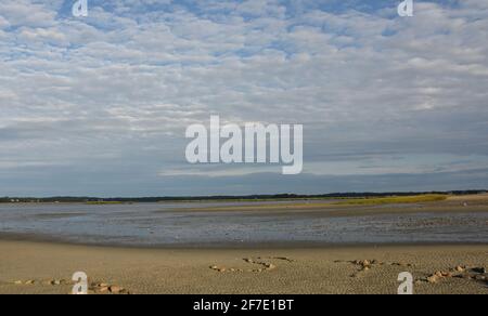 Malerische Aussicht auf Ebbe in der Duxbury Bay. Stockfoto