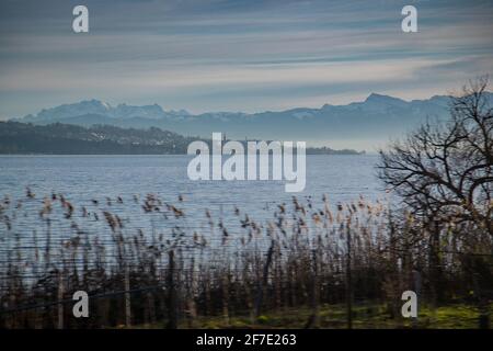 Fernes Panorama der Stadt Uetikon mit Blick auf den Zürichsee oder den Zürichsee am frühen, nebligen Morgen, von der anderen Seite aus gesehen. Stockfoto