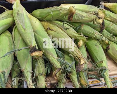 Delicious Corn on the Cob zum Kauf erhältlich Stockfoto