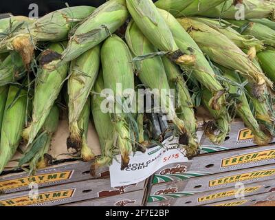 Delicious Corn on the Cob zum Kauf erhältlich Stockfoto