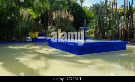 Majorelle Garten in Marrakesch, Marokko Stockfoto