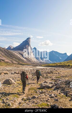 Rückansicht der Rucksacktouristen, die sich dem Mt. Thor, Baffin Island. Stockfoto