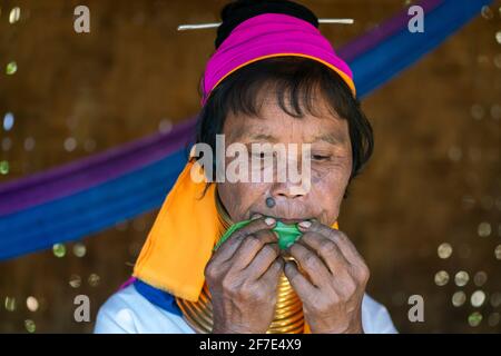 Frau aus dem Stamm der Kayan spielt Lied auf Blatt, in der Nähe von Loikaw, Myanmar Stockfoto