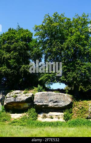 Mount Edgcumbe rockt auf Tunbridge Wells Common, Royal Tunbridge Wells, Kent, England Stockfoto