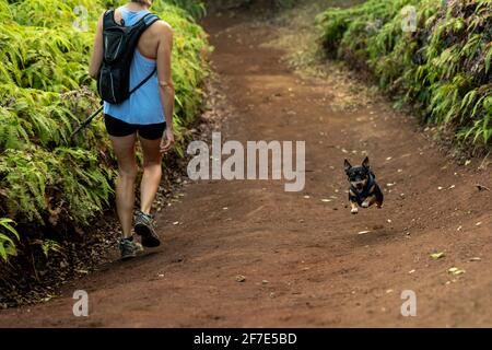 Wanderweibchen auf dem Trail mit kleinem schwarzen Hund Stockfoto