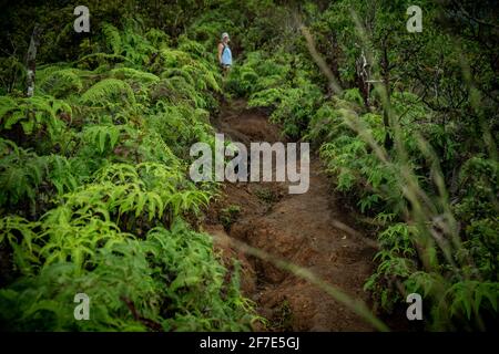 Wagemutige Weibchen, die den steilen Hang eines Hochs hinaufwandern Vegetierter Berg Stockfoto