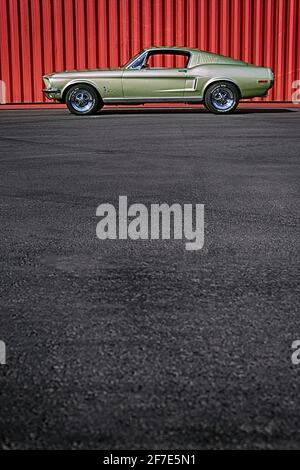 1967 Ford Mustang Fastback, Classic Cars Muscle, Mustang, Classic Cars Stockfoto