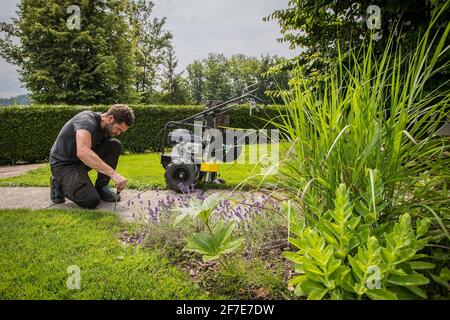 Person, die Kabel für Mähroboter ablegt, mit einer Maschine zum Verlegen von Kabeln im Hintergrund. Kabel als Führungskabel in die Erde einführen f Stockfoto
