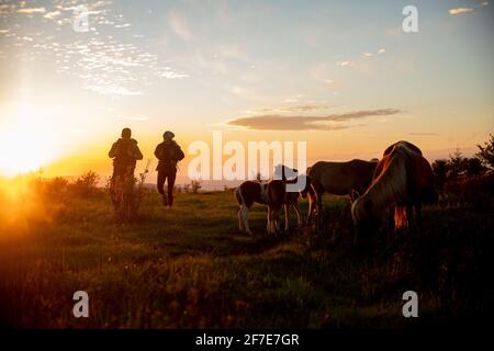 Pärchen wandern mit wilden Ponys auf dem Mount Rogers in Virginia. Stockfoto