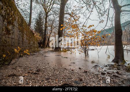 Überfluteter Pfad im Herbst, wegen des hohen Flusswassers wegen des Regens. Trüber grauer Tag. Stockfoto