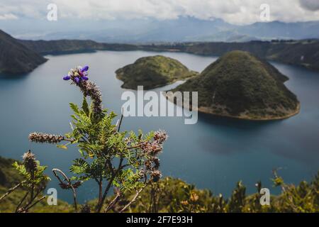 Blick auf die Insel am berühmten Cuicocha-See in Ecuador. Panorama über einen blauen See, umgeben von üppigem Grün und weißen Wolken. Blume im Stockfoto