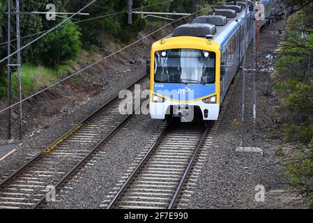 Auf der Sandringham-Linie fahren Züge der Melbourne Metro nach Melbourne. Der Siemens Nexas-Zug ist mit dem neuesten PTV-Branding ausgestattet. Stockfoto