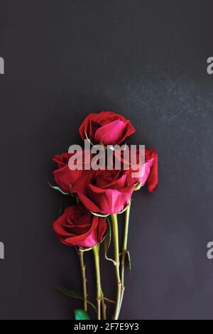 Rote Rosen auf schwarzem Hintergrund mit Kopierfläche. Mode im Hintergrund. Stockfoto