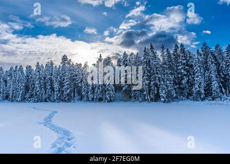 Sonnenuntergang über frischen Schneeschuhspuren im Schnee am Lake Lillian in der Nähe von Invermere, BC Stockfoto