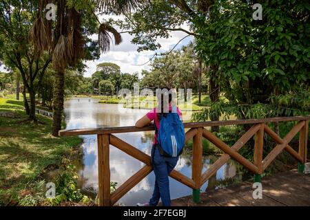 Goiania/Goias/Brasil - 30 01 2019: Junge Frau mit Rucksack im goiania Zoo per Smartphone Stockfoto