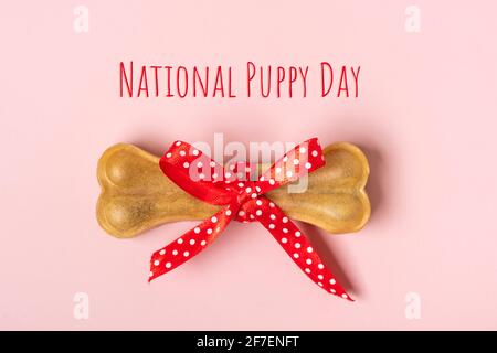 Knochen für Hunde mit roter Schleife isoliert auf rosa Hintergrund Draufsicht Flat Lay Delicious Leckerbissen für Ihr geliebtes Haustier Futter für Tiere Konzept Text National p Stockfoto