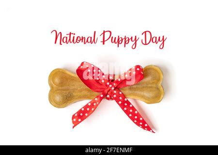 Knochen für Hunde mit rotem Bogen isoliert auf weißem Hintergrund Draufsicht Flat Lay Delicious Leckerbissen für Ihr geliebtes Haustier Food for Animals Konzept Text National Stockfoto