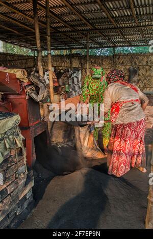 Eine weibliche Arbeitskraft arbeitet auf einem Ziegelfeld in Khulna, Bangladesch, mit Kohle. Stockfoto