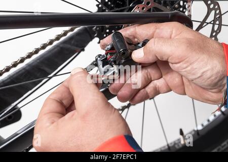 Reparatur oder Wartung von Bikikeln. Ausbau des hinteren Scheibenbremssattels, um die hinteren Bremsbeläge eines Mountainbikes zu wechseln. Stockfoto