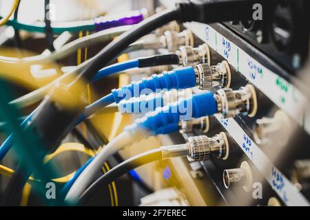 Blaue BNC-SDI-Signalkabel an der Rückseite eines Patchpanels angeschlossen. Eine Unordnung von Kabeln, die hinter dem Rack oder der Verkleidung sichtbar sind. Konzentrieren Sie sich auf einen der Anschlüsse, nicht Stockfoto