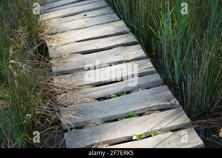 Holzbrett Walk in Moor im modernen Gartenkonzept Stockfoto