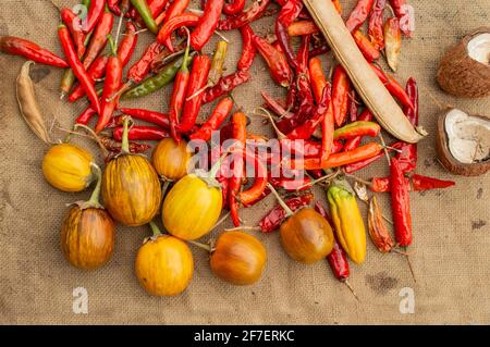 Rote Chilis sind vollgepackt mit Vitamin C, das das Immunsystem unterstützt und chronische Krankheiten bekämpft. Es gibt sehr starke Antioxidans Stockfoto