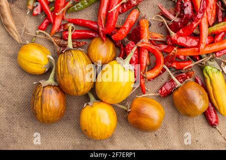 Rote Chilis sind vollgepackt mit Vitamin C, das das Immunsystem unterstützt und chronische Krankheiten bekämpft. Es gibt sehr starke Antioxidans Stockfoto