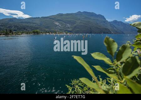 Eine Vielzahl von Windsurfern an einem sonnigen Tag am Gardasee vor Torbole riva in Aktion. Stockfoto