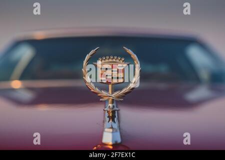 LEVEC, SLOWENIEN, 20. OKTOBER 2018: Cadillac-Logo oder -Wappen auf einer Haube einer alten roten Limousine mit Windschutzscheibe. Stockfoto